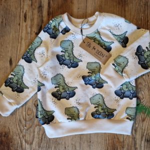 Sweater "Skater Dino"