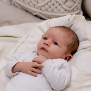 Stillkissen "Muddy Works" Canvas