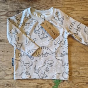 Langarmshirt "Dino" grau