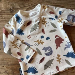 Langarmshirt Dino bunt
