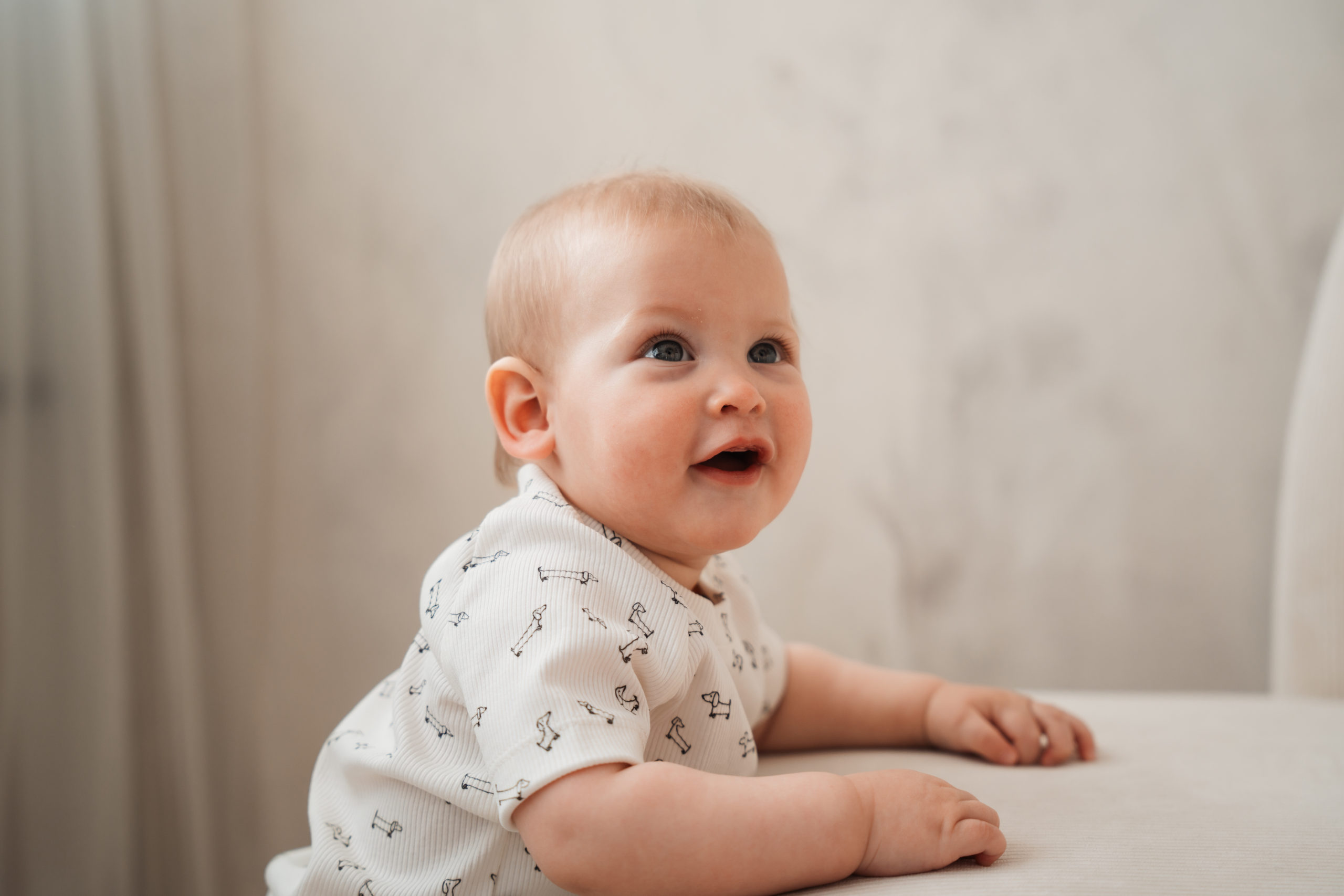 T-Shirt Dackel „schwarz/weiss“